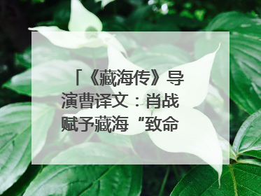 《藏海传》导演曹译文：肖战赋予藏海“致命”吸引力