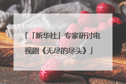 「新华社」专家研讨电视剧《无尽的尽头》