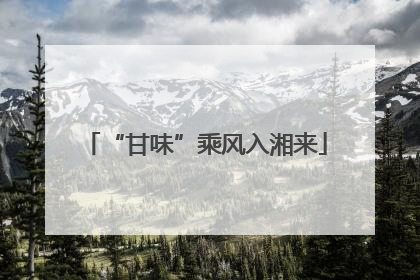 “甘味”乘风入湘来
