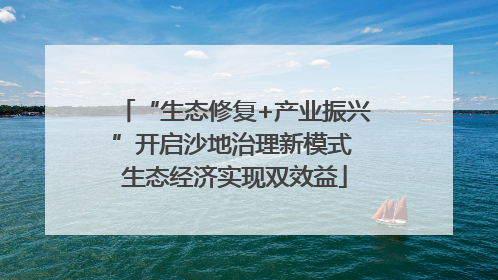 “生态修复+产业振兴”开启沙地治理新模式 生态经济实现双效益