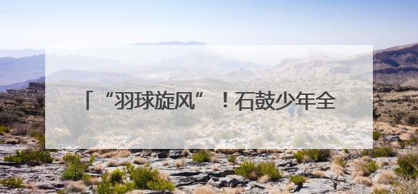 “羽球旋风”！石鼓少年全国总决赛揽1金1银1铜