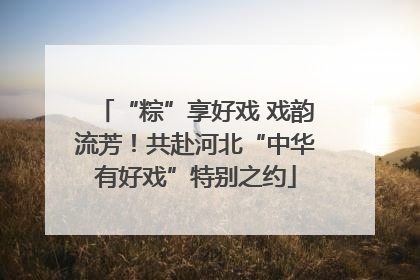 “粽”享好戏 戏韵流芳！共赴河北“中华有好戏”特别之约