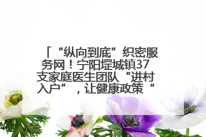 “纵向到底”织密服务网！宁阳堽城镇37支家庭医生团队“进村入户”，让健康政策“落地生根”