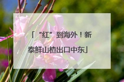 “红”到海外！新泰鲜山楂出口中东