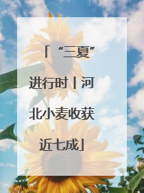 “三夏”进行时丨河北小麦收获近七成