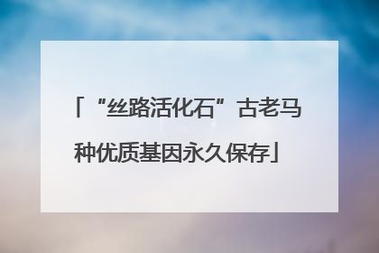 “丝路活化石”古老马种优质基因永久保存