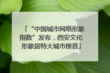 “中国城市网络形象指数”发布，西安文化形象居特大城市榜首