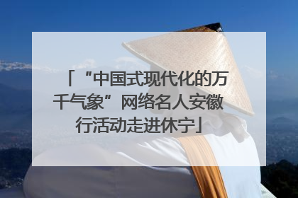 “中国式现代化的万千气象”网络名人安徽行活动走进休宁