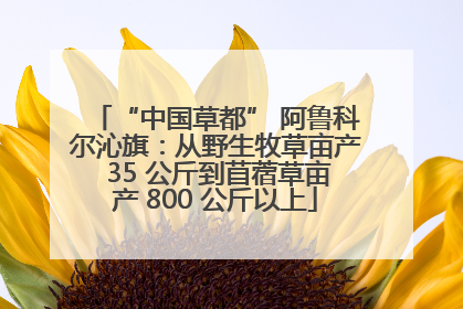 “中国草都” 阿鲁科尔沁旗：从野生牧草亩产 35 公斤到苜蓿草亩产 800 公斤以上