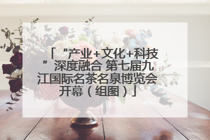 “产业+文化+科技”深度融合 第七届九江国际名茶名泉博览会开幕（组图）