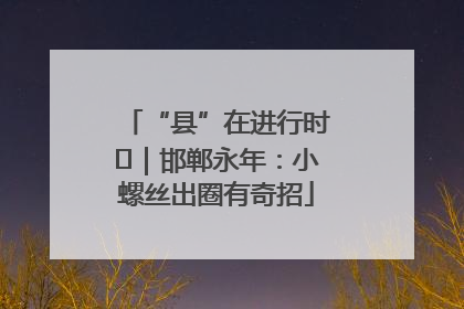“县”在进行时⑬｜邯郸永年：小螺丝出圈有奇招