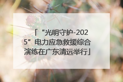 “光明守护-2025”电力应急救援综合演练在广东清远举行