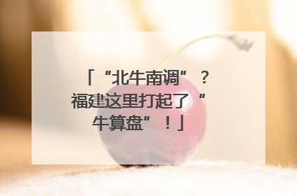 “北牛南调”？福建这里打起了“牛算盘”！