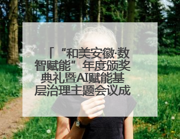 “和美安徽·数智赋能”年度颁奖典礼暨AI赋能基层治理主题会议成功举办