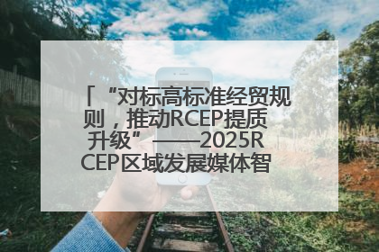 “对标高标准经贸规则，推动RCEP提质升级”——2025RCEP区域发展媒体智库论坛举行专题对话