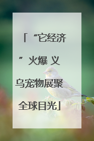 “它经济”火爆 义乌宠物展聚全球目光