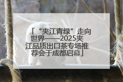 “夹江青绿”走向世界——2025夹江品质出口茶专场推荐会于成都启幕
