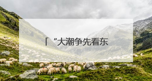 “大潮争先看东南”福建行 感受“放心消费”的满满安全感