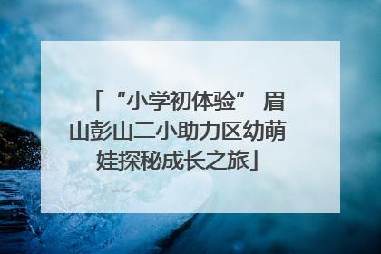 “小学初体验” 眉山彭山二小助力区幼萌娃探秘成长之旅