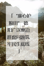 “廉心护粮田” 德阳广汉整治群腐问题筑牢民生底线