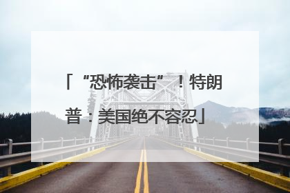 “恐怖袭击”！特朗普：美国绝不容忍