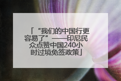 “我们的中国行更容易了”——印尼民众点赞中国240小时过境免签政策