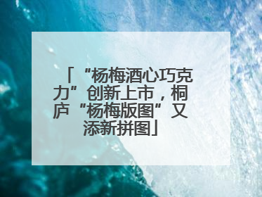 “杨梅酒心巧克力”创新上市，桐庐“杨梅版图”又添新拼图