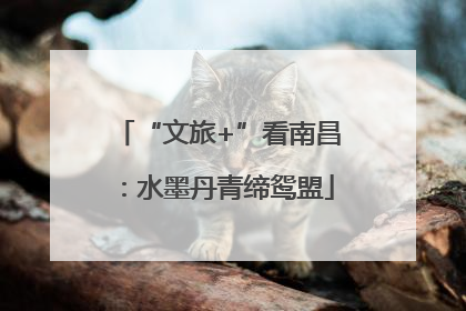 “文旅+”看南昌：水墨丹青缔鸳盟