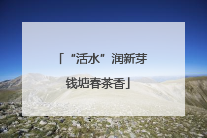 “活水”润新芽 钱塘春茶香