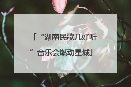 “湖南民歌几好听”音乐会燃动星城