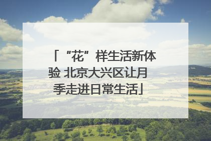 “花”样生活新体验 北京大兴区让月季走进日常生活