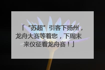 “苏超”引客下扬州，龙舟大赛等着您，下周末来仪征看龙舟赛！