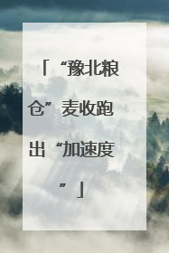 “豫北粮仓”麦收跑出“加速度”