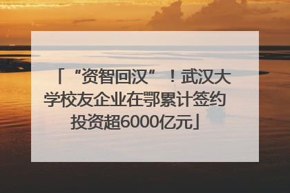 “资智回汉”！武汉大学校友企业在鄂累计签约投资超6000亿元