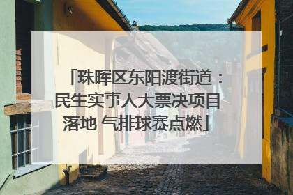珠晖区东阳渡街道：民生实事人大票决项目落地 气排球赛点燃
