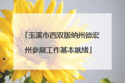 玉溪市西双版纳州德宏州参展工作基本就绪