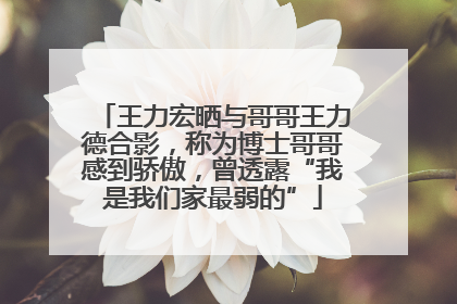 王力宏晒与哥哥王力德合影，称为博士哥哥感到骄傲，曾透露“我是我们家最弱的”