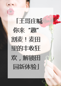 王哥庄喊你来“趣”割麦！麦田里的丰收狂欢，解锁田园新体验