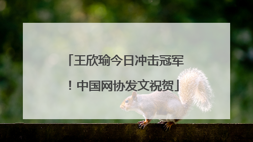 王欣瑜今日冲击冠军！中国网协发文祝贺