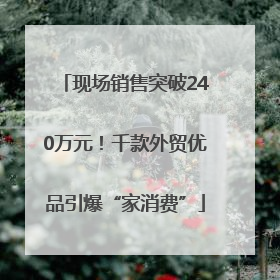 现场销售突破240万元！千款外贸优品引爆“家消费”