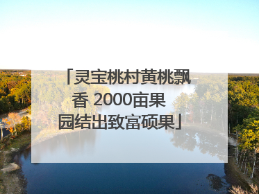 灵宝桃村黄桃飘香 2000亩果园结出致富硕果