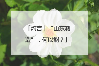 灼言丨“山东制造”，何以能？