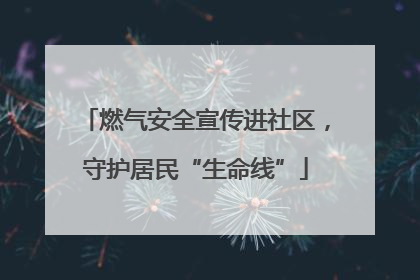 燃气安全宣传进社区，守护居民“生命线”