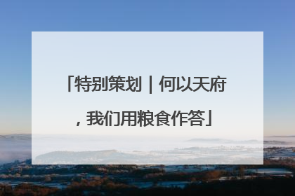 特别策划｜何以天府，我们用粮食作答