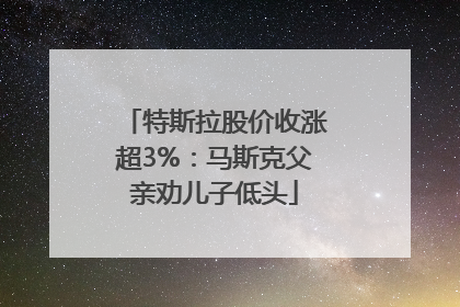 特斯拉股价收涨超3%：马斯克父亲劝儿子低头