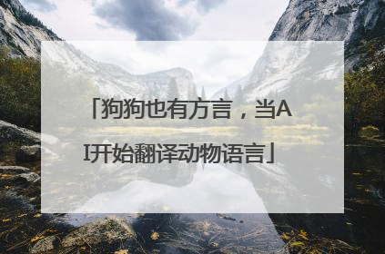 狗狗也有方言，当AI开始翻译动物语言