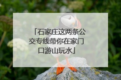 石家庄这两条公交专线带你在家门口游山玩水