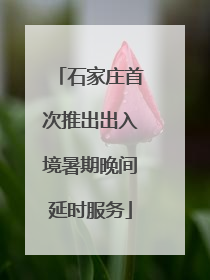 石家庄首次推出出入境暑期晚间延时服务