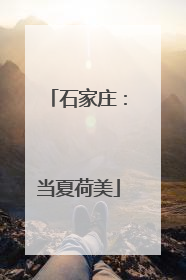 石家庄：当夏荷美