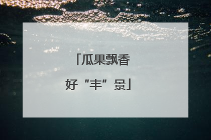 瓜果飘香 好“丰”景